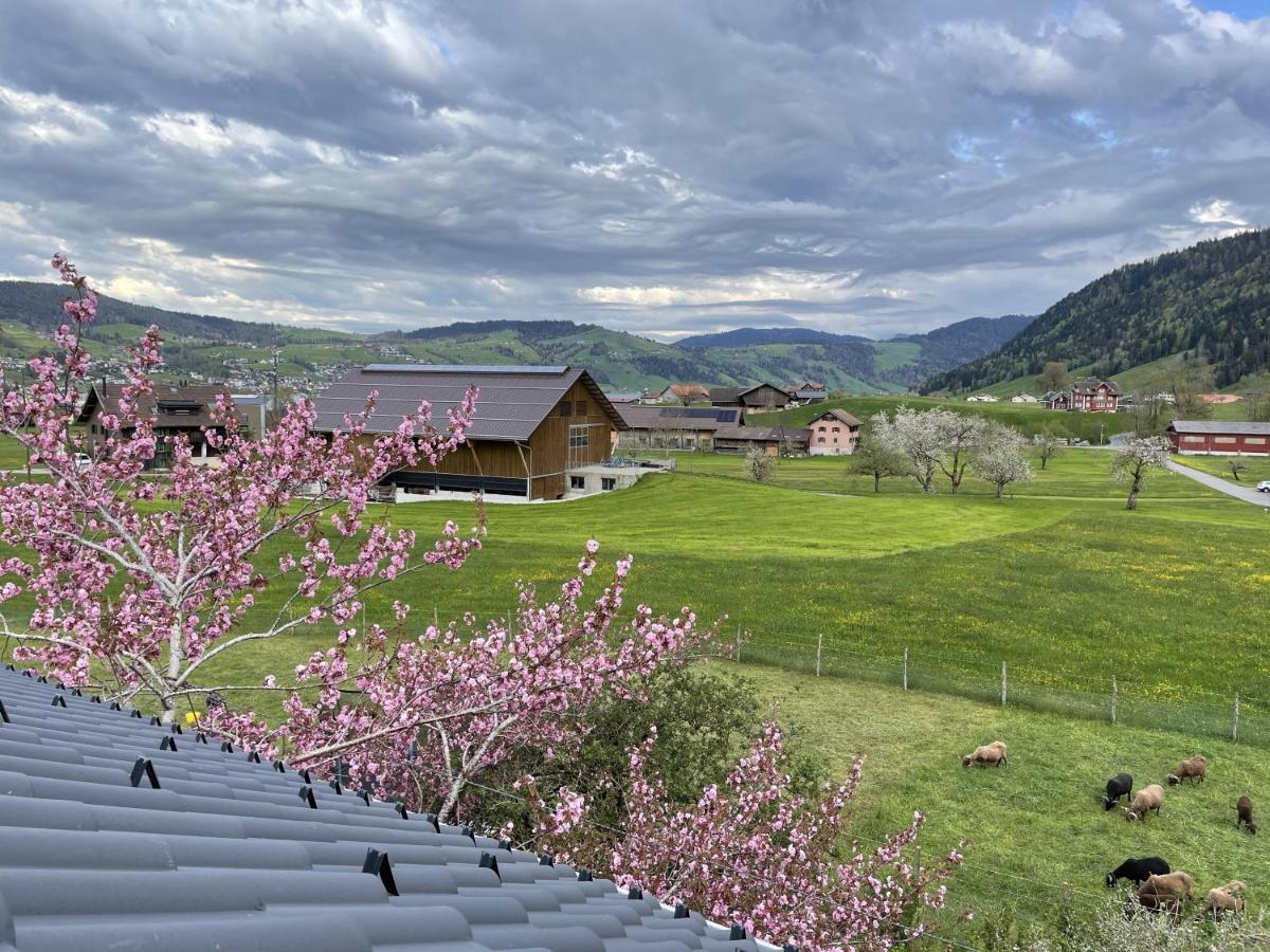 Naturnoech Unterägeri Dış mekan fotoğraf