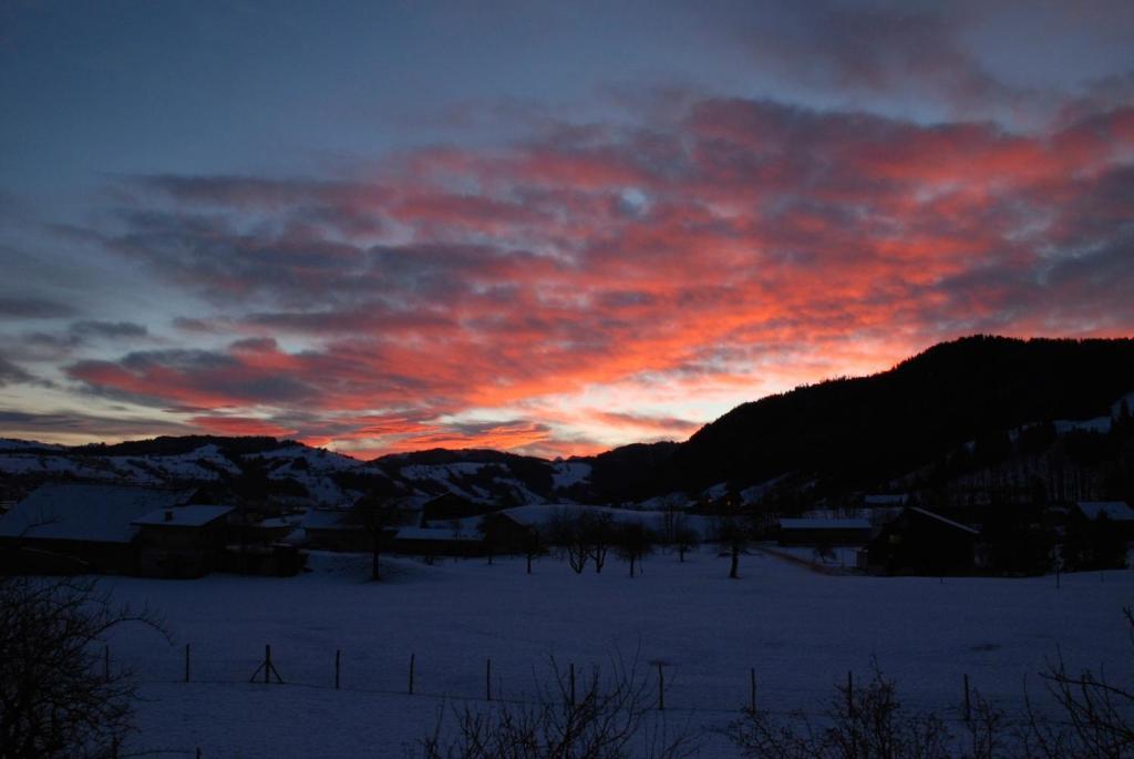 Naturnoech Unterägeri Oda fotoğraf