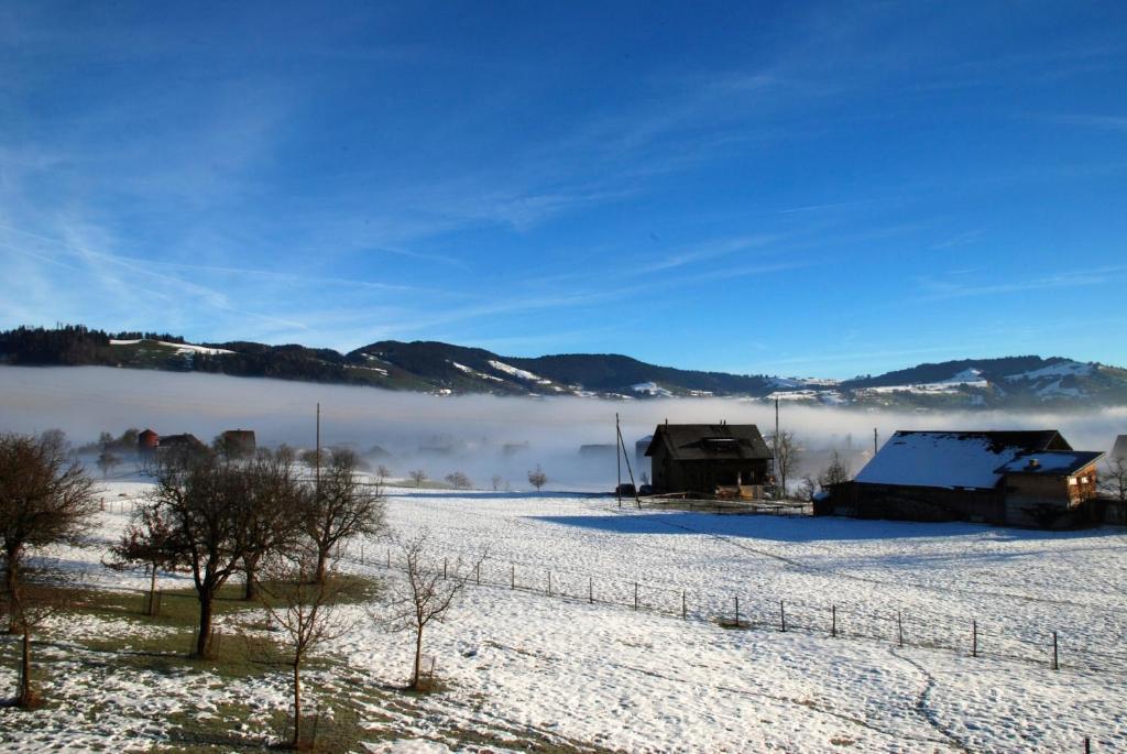 Naturnoech Unterägeri Oda fotoğraf