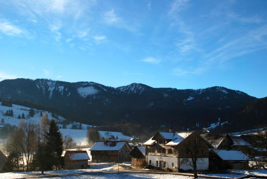 Naturnoech Unterägeri Oda fotoğraf